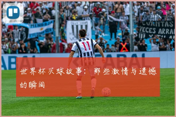 世界杯买球故事:那些激情与遗憾的瞬间