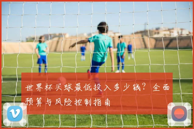 世界杯买球最低投入多少钱？全面预算与风险控制指南