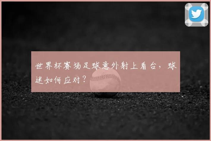 世界杯赛场足球意外射上看台,球迷如何应对?