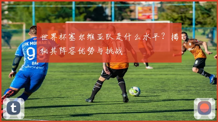 世界杯塞尔维亚队是什么水平?揭秘其阵容优势与挑战