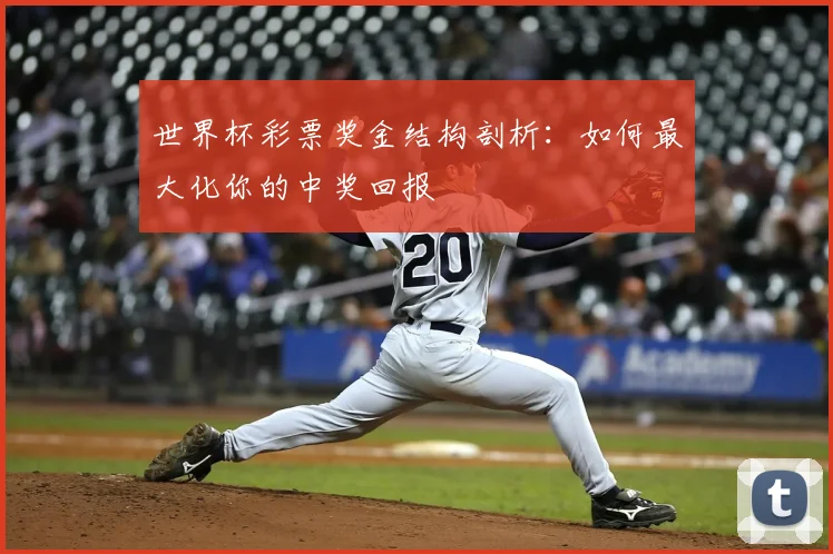 世界杯彩票奖金结构剖析:如何最大化你的中奖回报