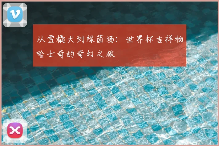 从雪橇犬到绿茵场:世界杯吉祥物哈士奇的奇幻之旅