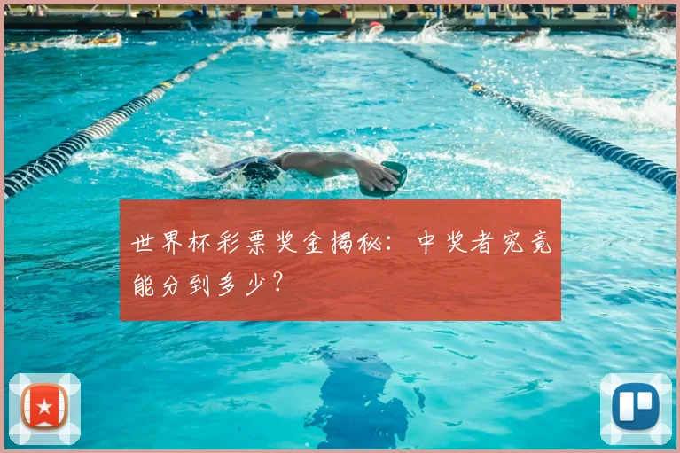 世界杯彩票奖金揭秘：中奖者究竟能分到多少？
