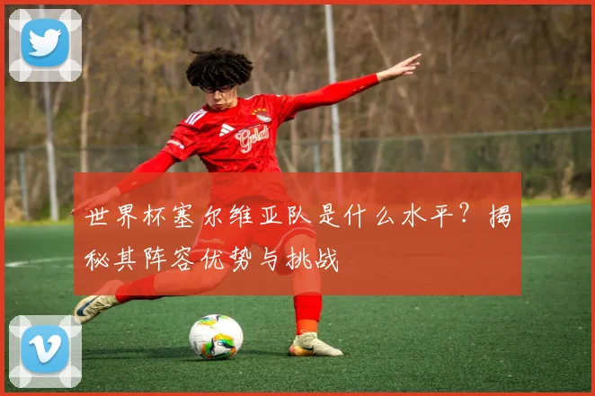 世界杯塞尔维亚队是什么水平?揭秘其阵容优势与挑战