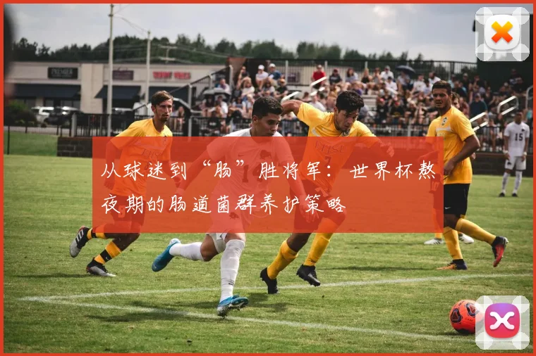 从球迷到“肠”胜将军:世界杯熬夜期的肠道菌群养护策略