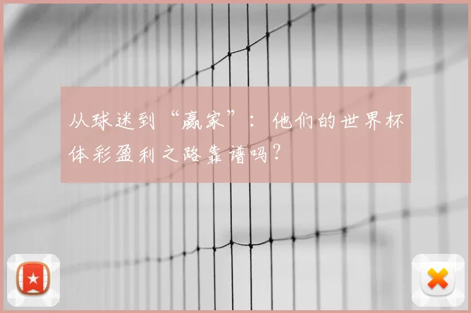 从球迷到“赢家”：他们的世界杯体彩盈利之路靠谱吗？