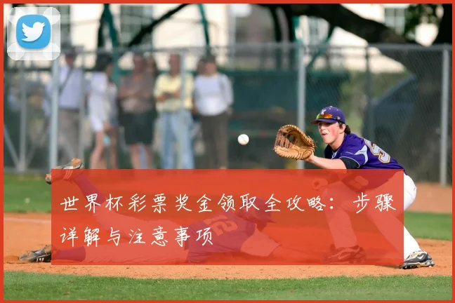 世界杯彩票奖金领取全攻略:步骤详解与注意事项