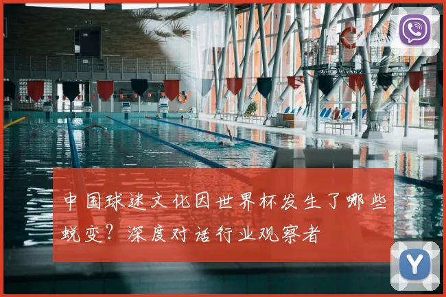 中国球迷文化因世界杯发生了哪些蜕变?深度对话行业观察者