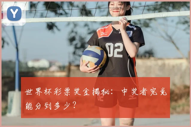 世界杯彩票奖金揭秘：中奖者究竟能分到多少？