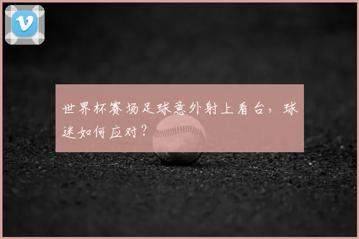 世界杯赛场足球意外射上看台,球迷如何应对?