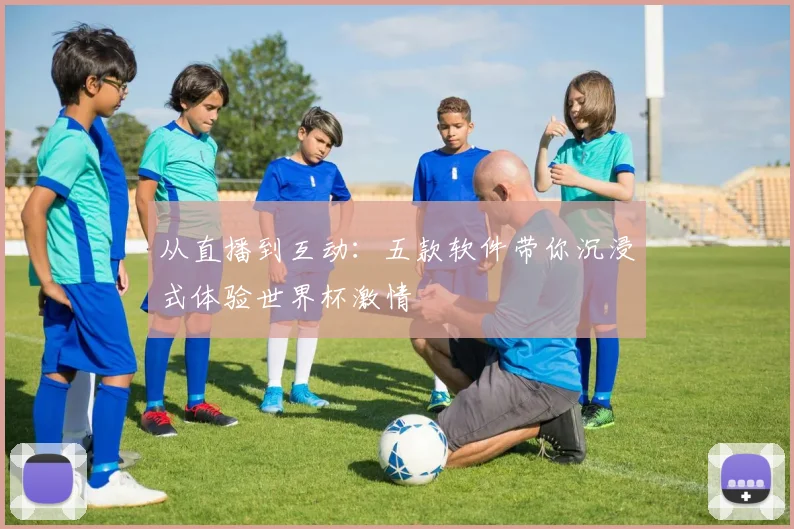 从直播到互动：五款软件带你沉浸式体验世界杯激情