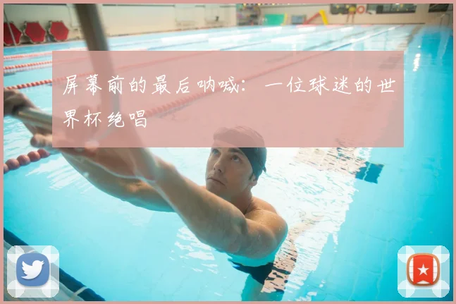 屏幕前的最后呐喊：一位球迷的世界杯绝唱
