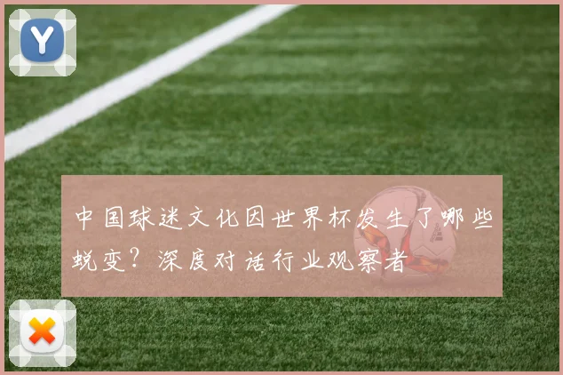 中国球迷文化因世界杯发生了哪些蜕变？深度对话行业观察者