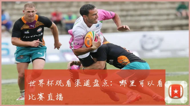 世界杯观看渠道盘点：哪里可以看比赛直播