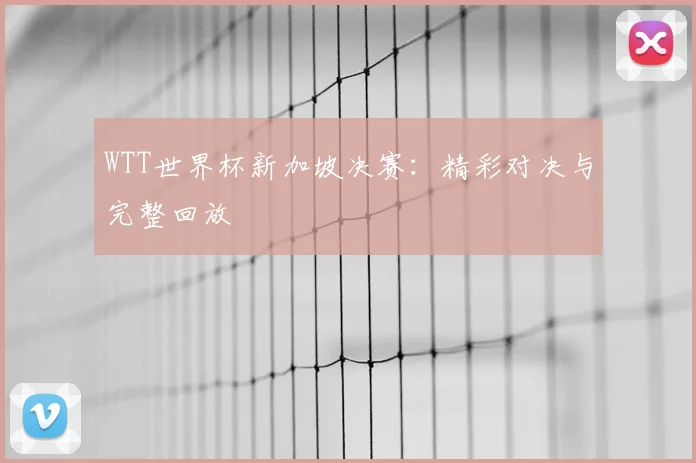WTT世界杯新加坡决赛：精彩对决与完整回放