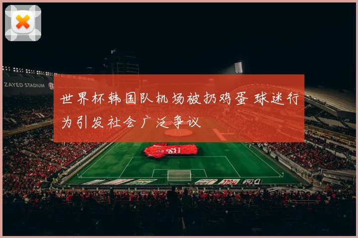 世界杯韩国队机场被扔鸡蛋 球迷行为引发社会广泛争议