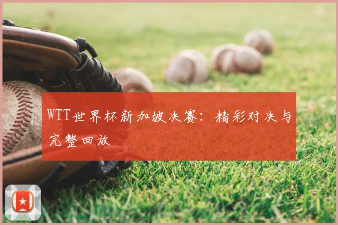WTT世界杯新加坡决赛:精彩对决与完整回放