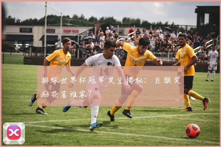 排球世界杯冠军奖金揭秘：巨额奖励花落谁家？