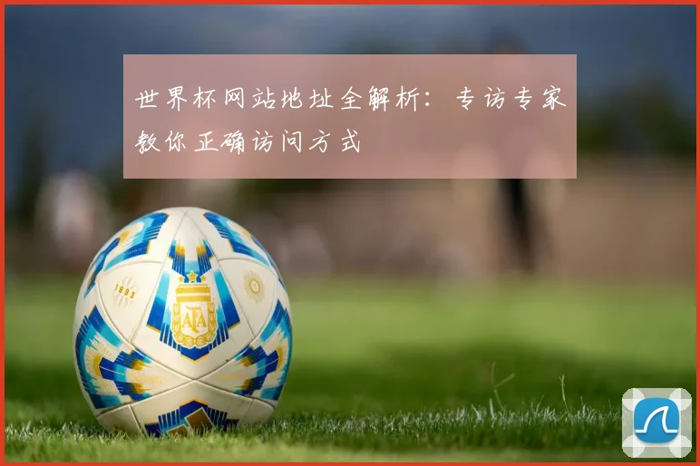 世界杯网站地址全解析：专访专家教你正确访问方式
